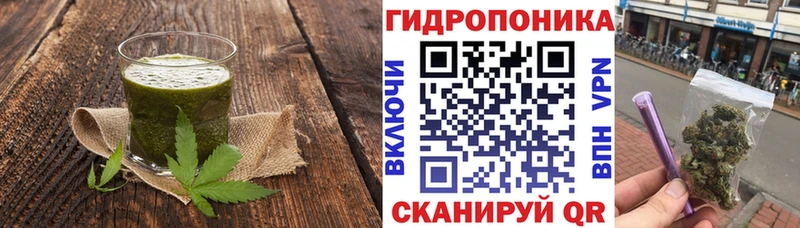 купить наркоту  ОМГ ОМГ ONION  Еда ТГК марихуана  Холм 