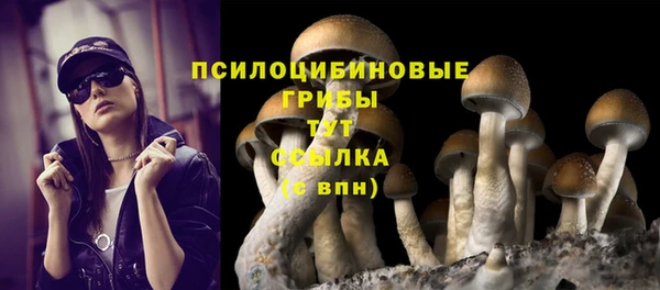 индика Абинск