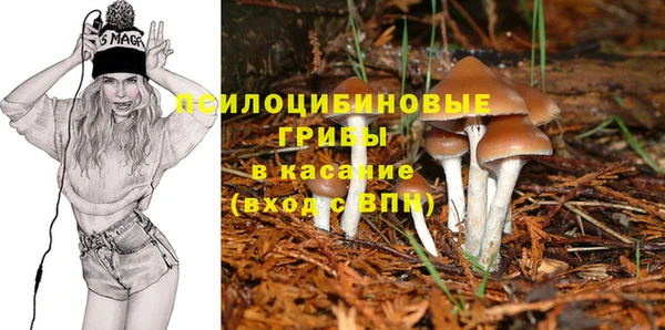 ГАЛЛЮЦИНОГЕННЫЕ ГРИБЫ Каменск-Шахтинский