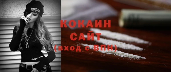 индика Абинск