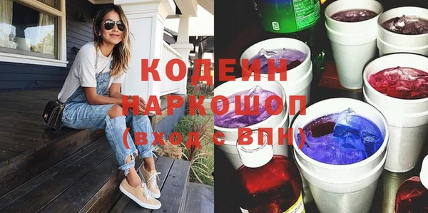 индика Абинск