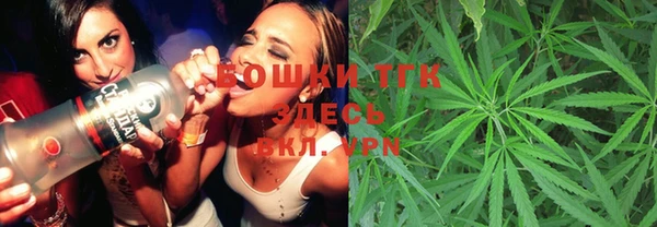 индика Абинск