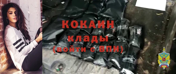 индика Абинск