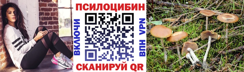 где найти   Холм  Псилоцибиновые грибы прущие грибы 